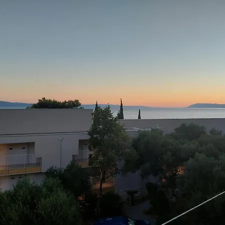 Njavro *